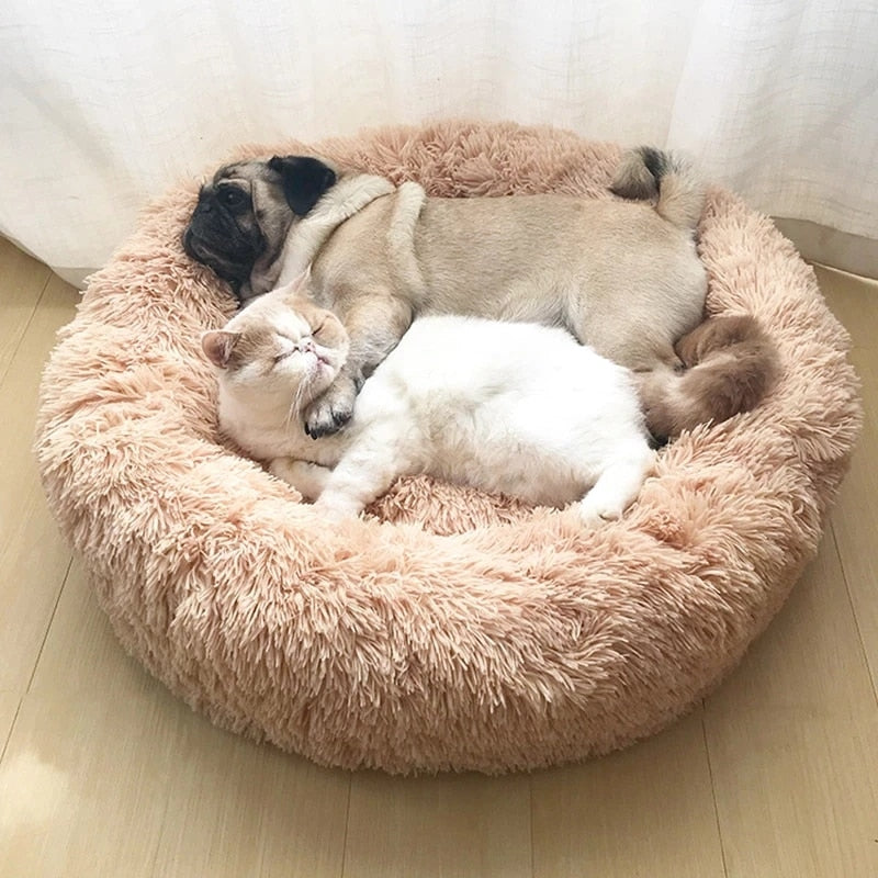 מיטת כלב פלאפי FACTORYX חום בהיר [50 ס"מ] - עד 5 ק"ג 